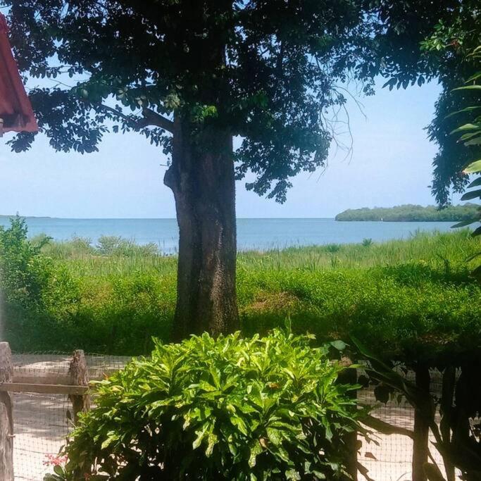 Cabaña LunAzul