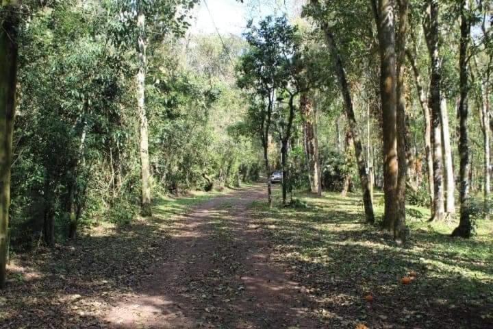Cabañas El Palmar reserva natural