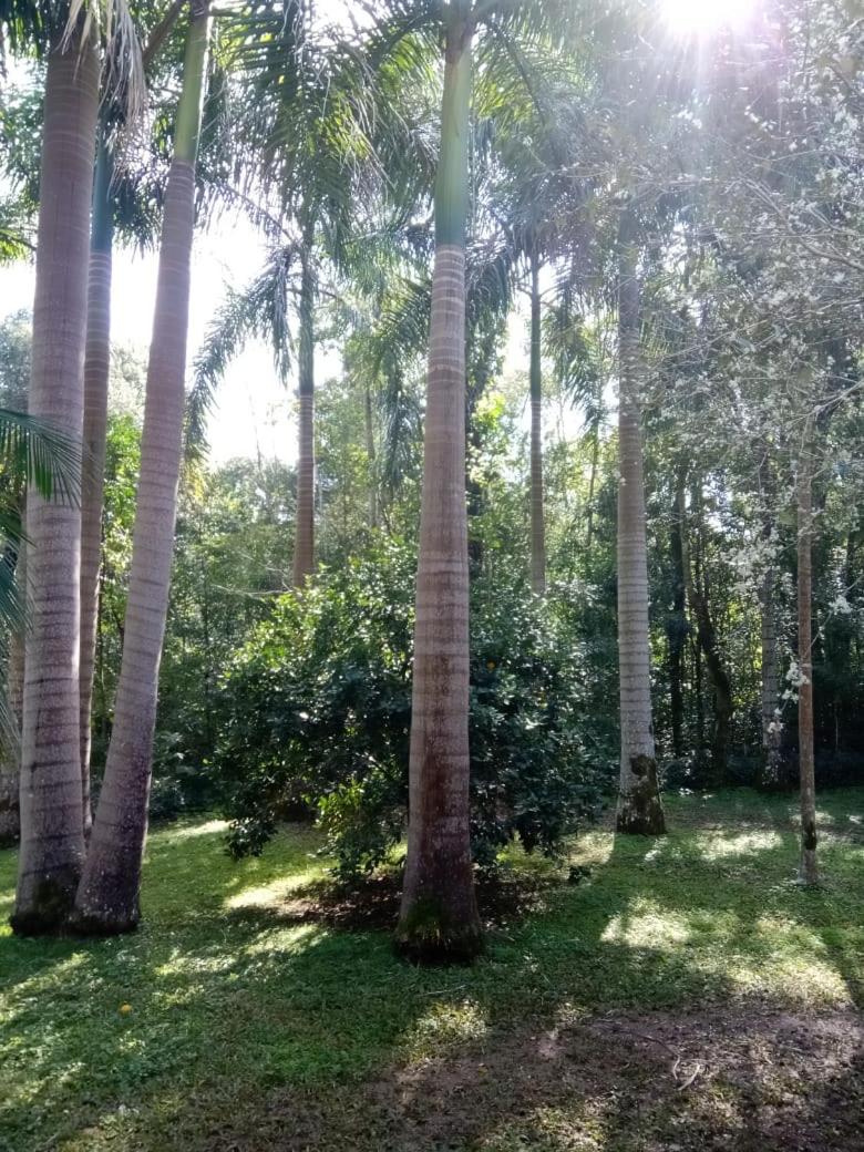 Cabañas El Palmar reserva natural