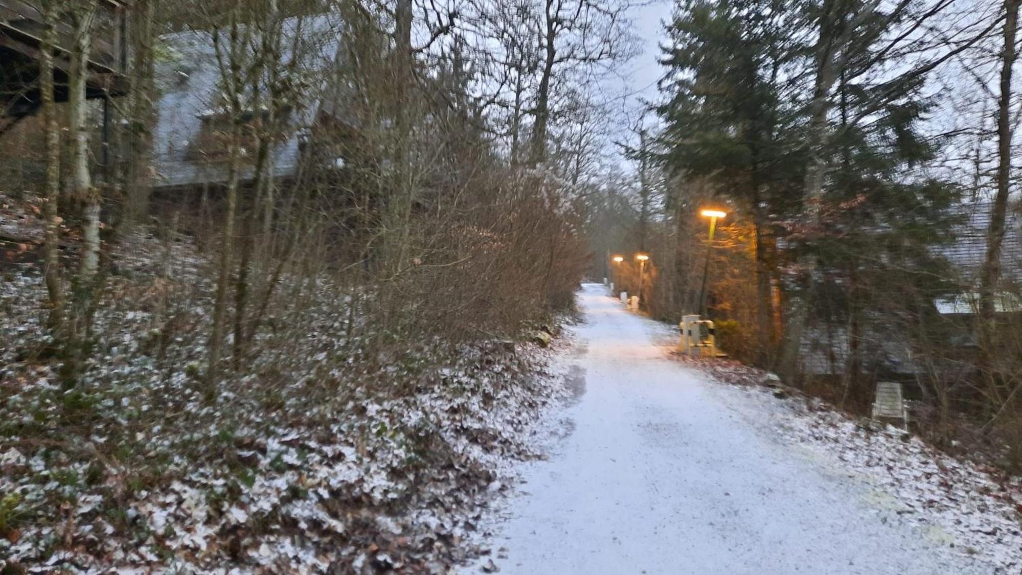 De Bosannemoon in Durbuy