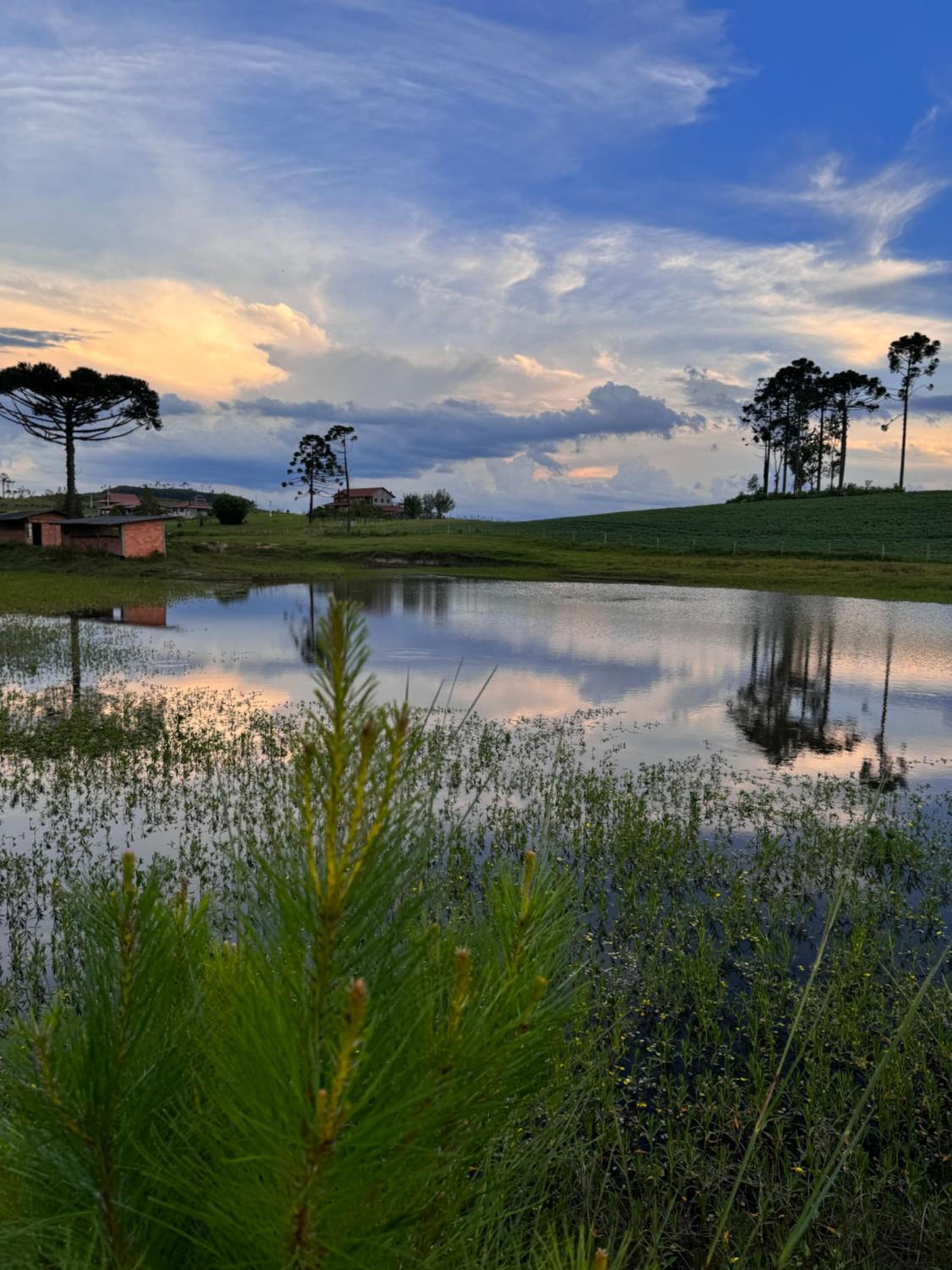 Quinta do Monge Fazenda de hospedagem
