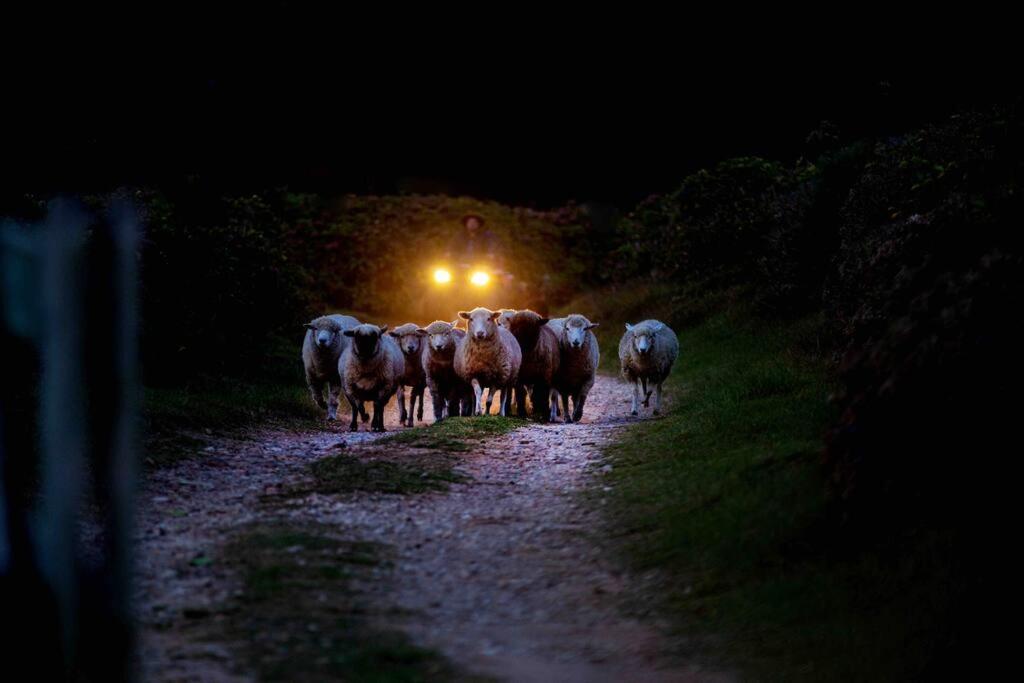 Quinta do Monge Fazenda de hospedagem
