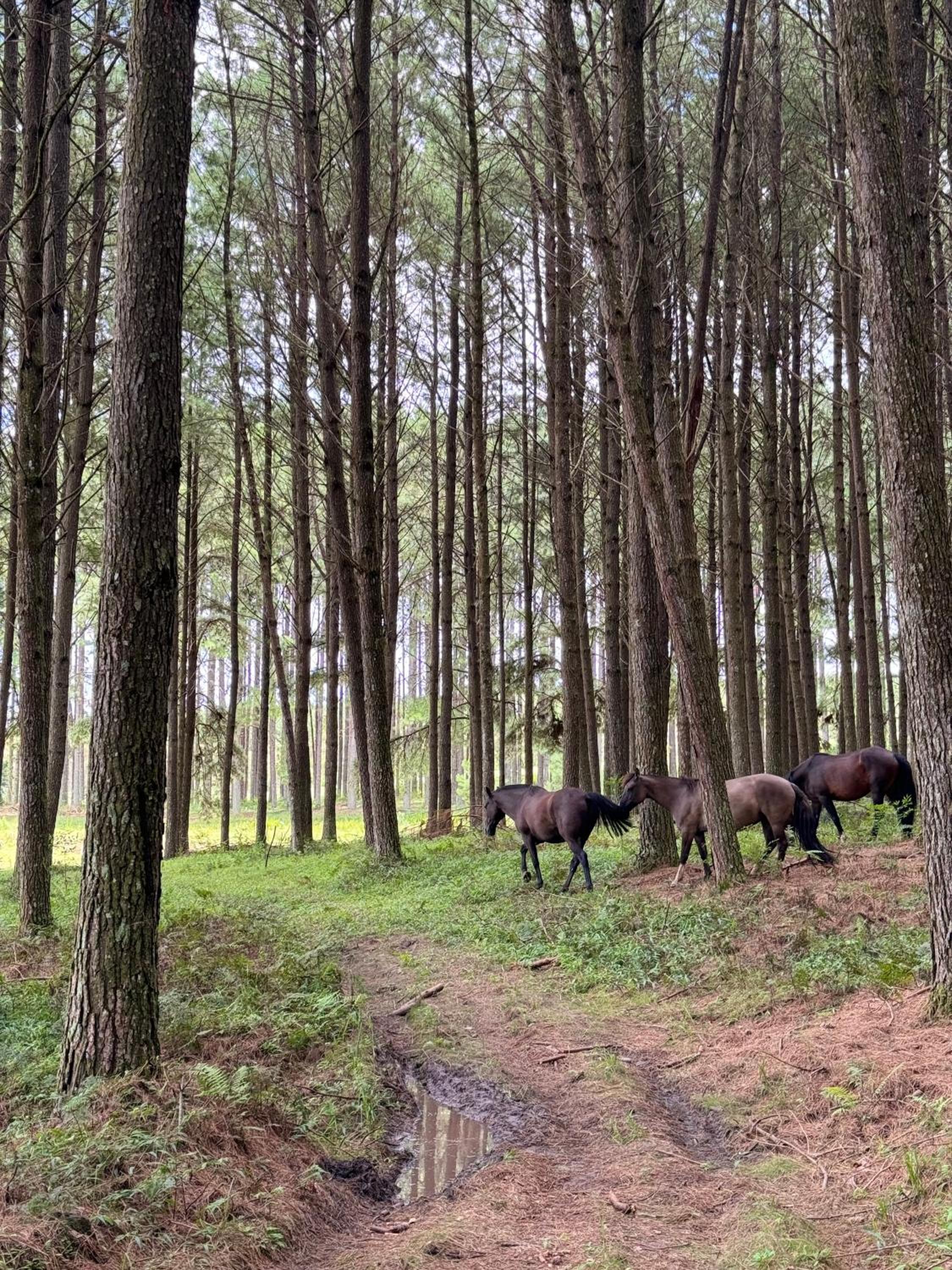 Quinta do Monge Fazenda de hospedagem