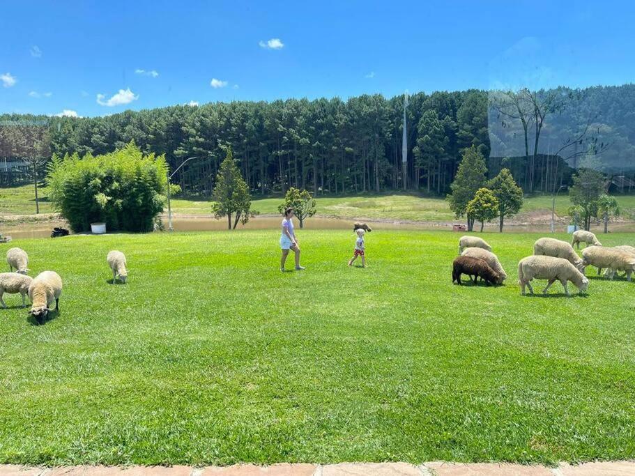 Quinta do Monge Fazenda de hospedagem