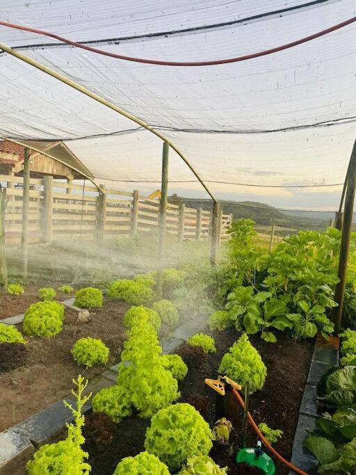 Quinta do Monge Fazenda de hospedagem