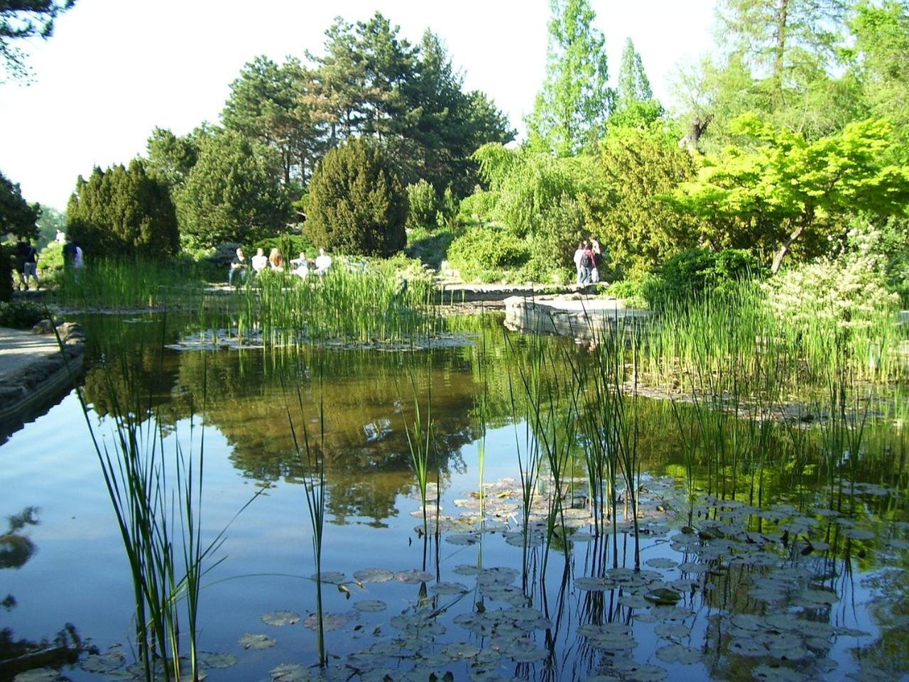 Photo 50