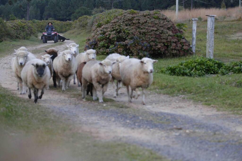 Quinta do Monge Fazenda de hospedagem