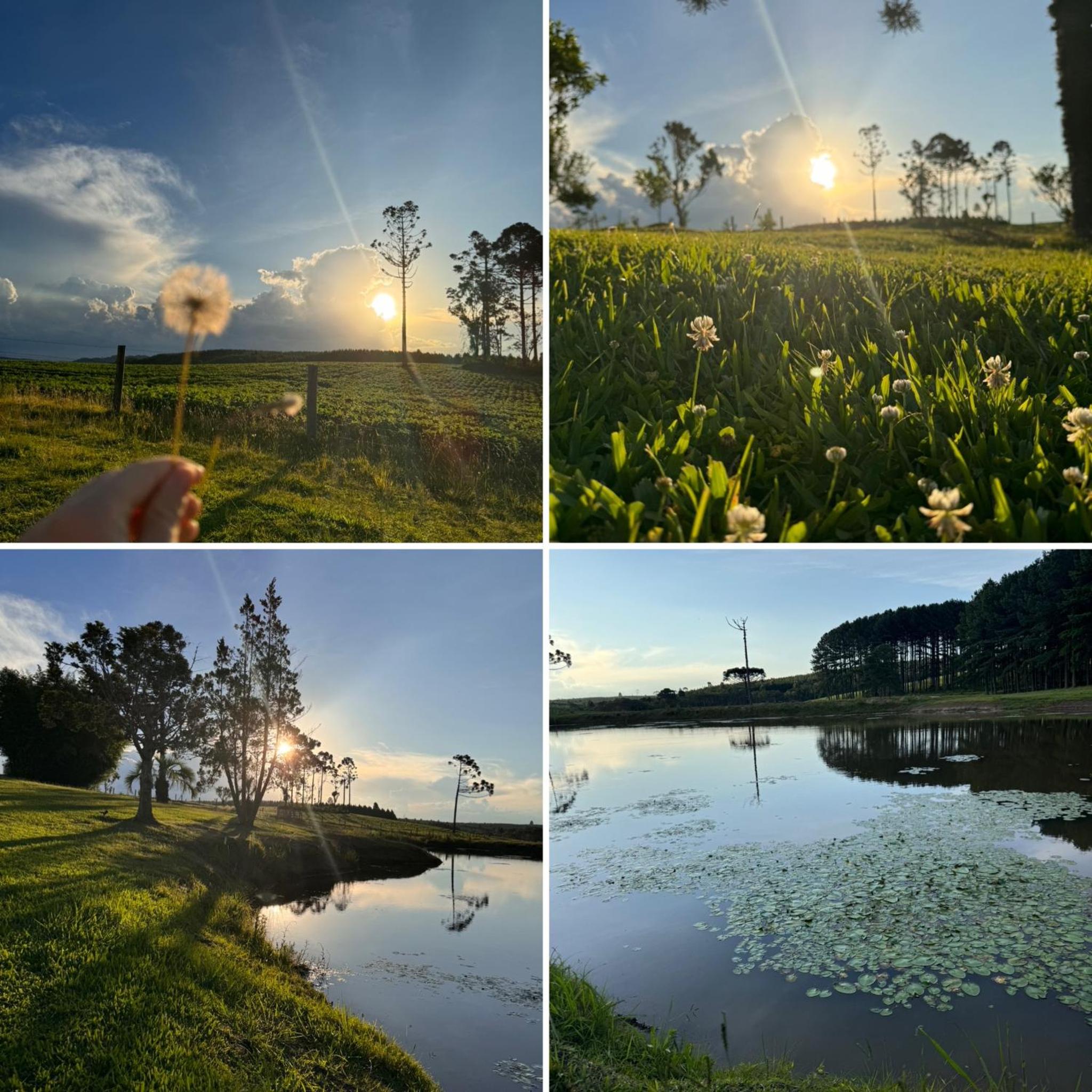Quinta do Monge Fazenda de hospedagem