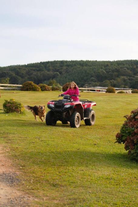 Quinta do Monge Fazenda de hospedagem