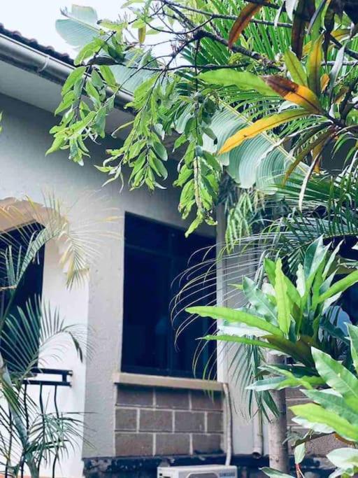 Reverie Villa view 5