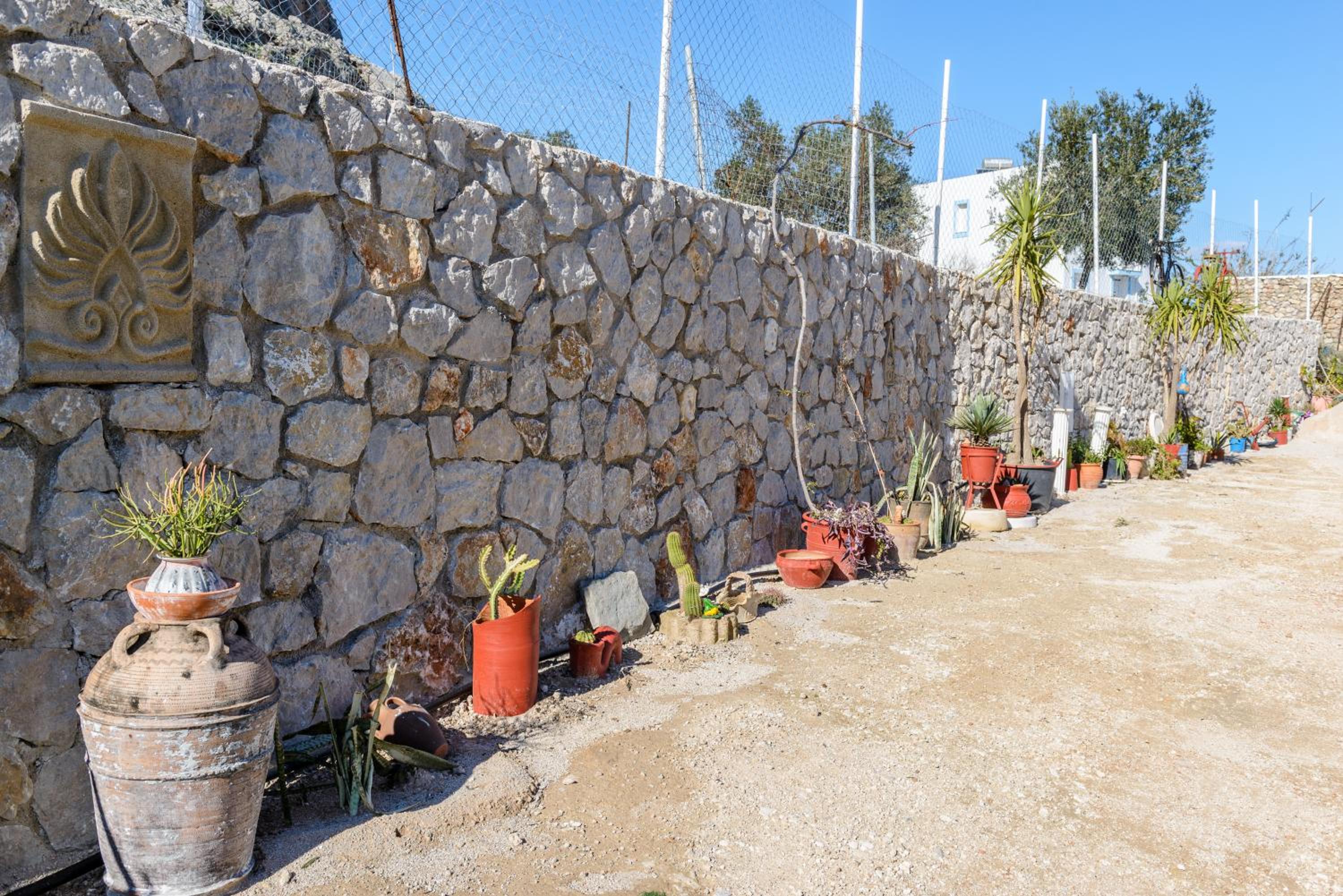 Photo 32