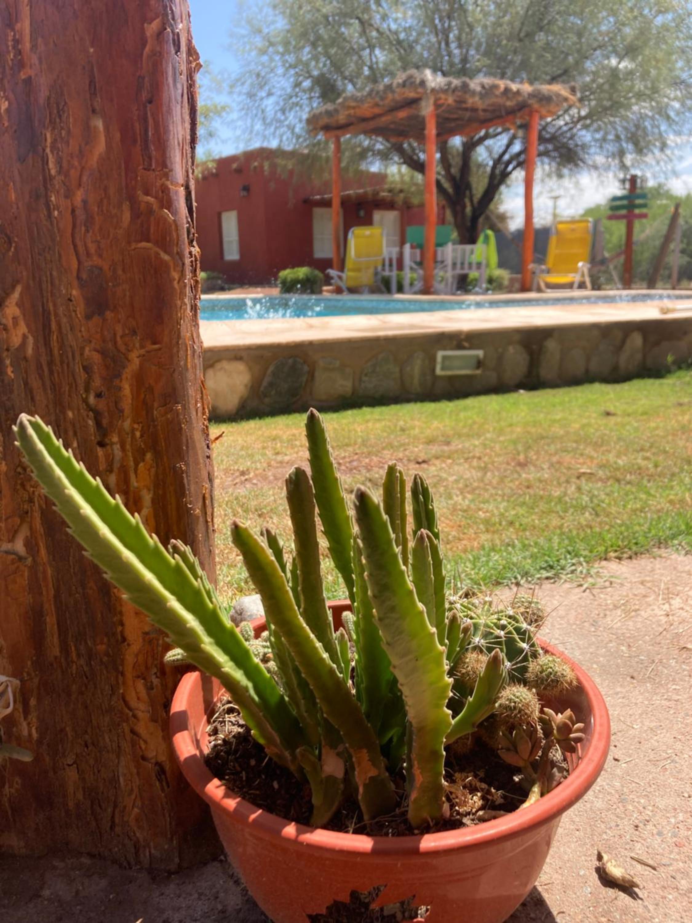 Cabaña Chañares de Banda Florida - Sveña