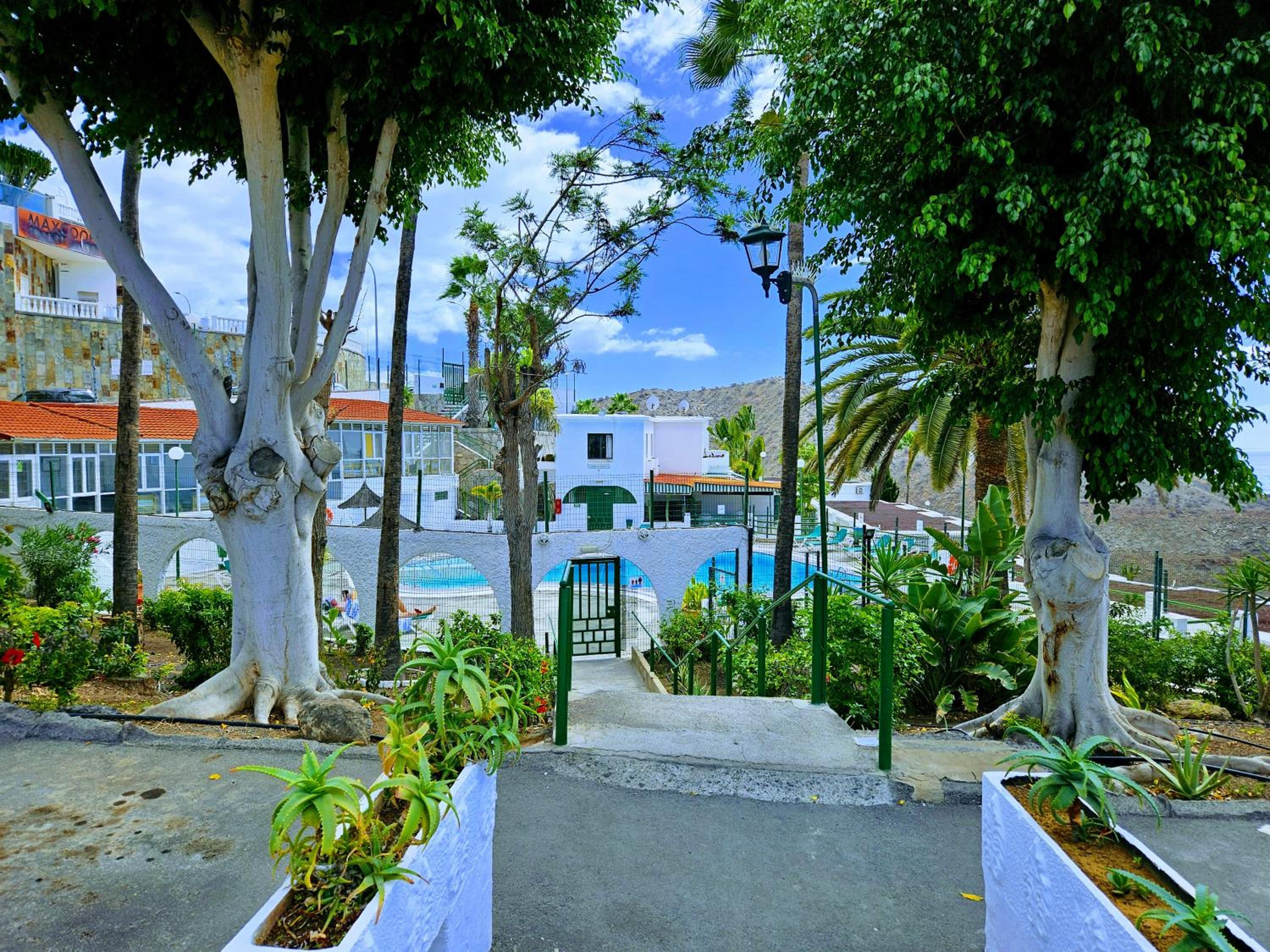 Corona Rosa Ocean View