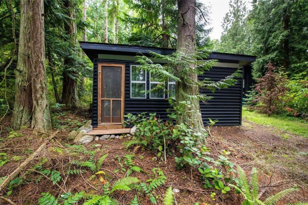 Guemes Island Road Modern Home