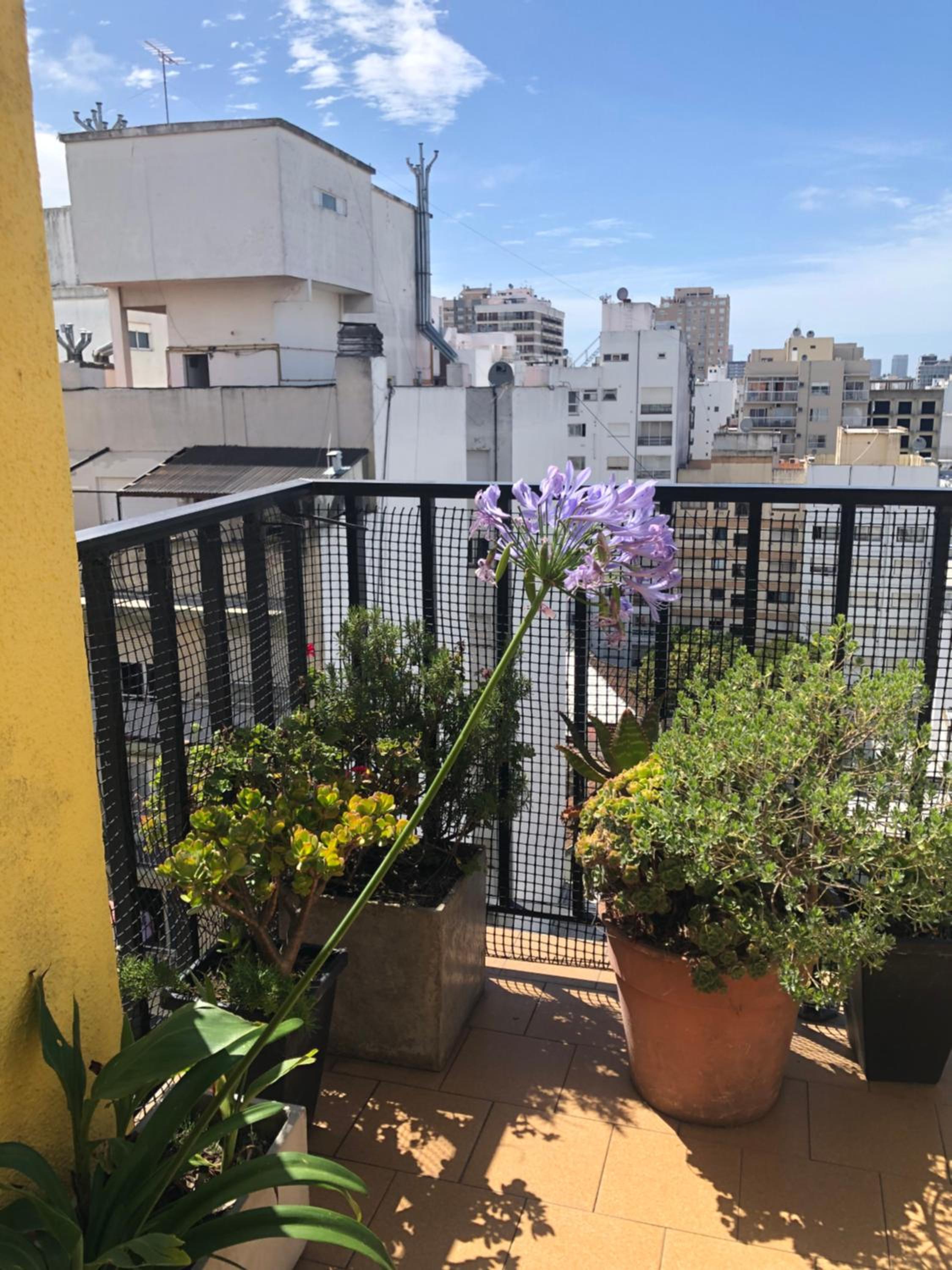El Reino MdQ