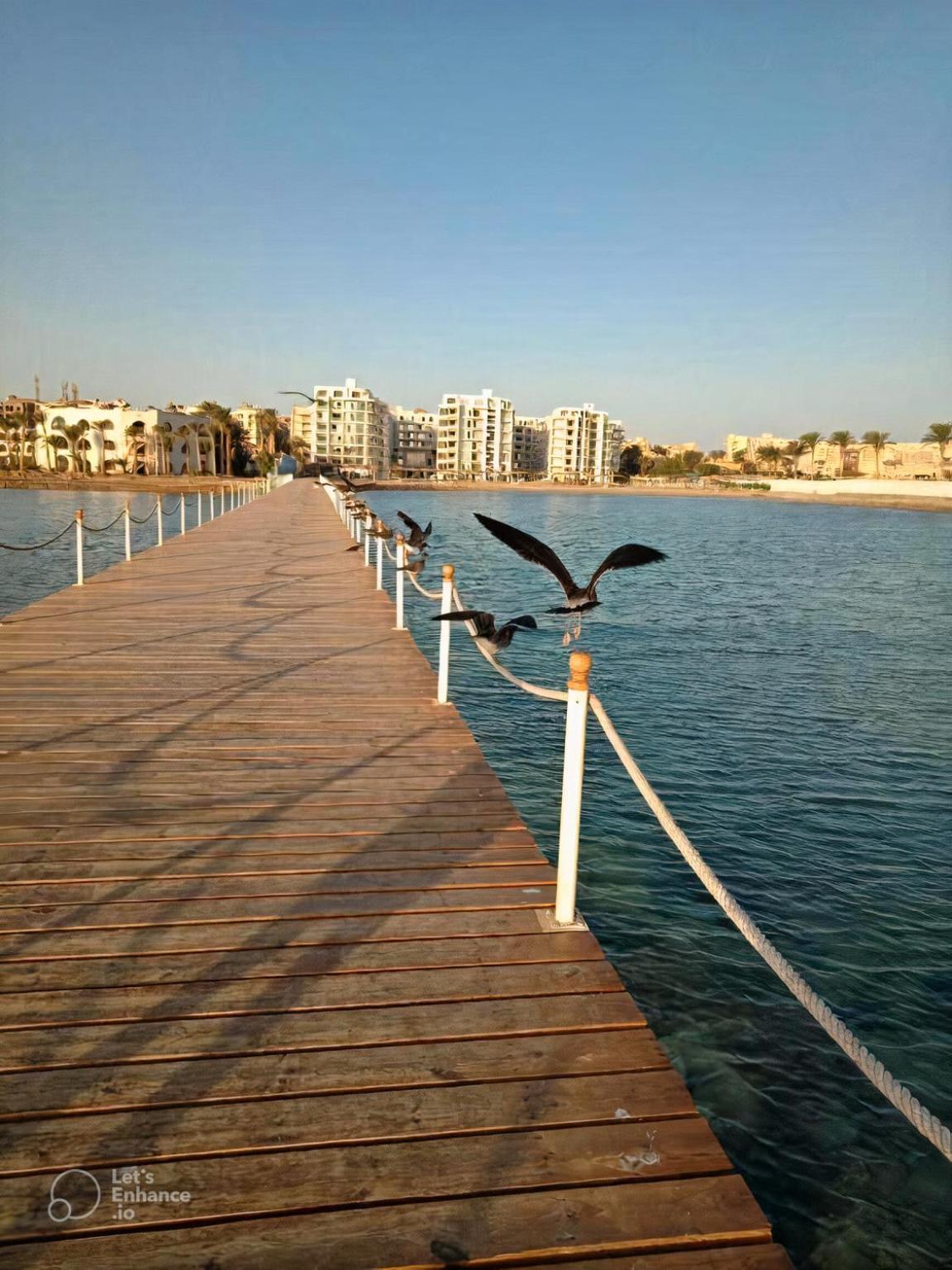 Hurghada Scandic Resort SSV- Private Sandy Beach Coral Reef Retreat with Free Wi-Fi view 5
