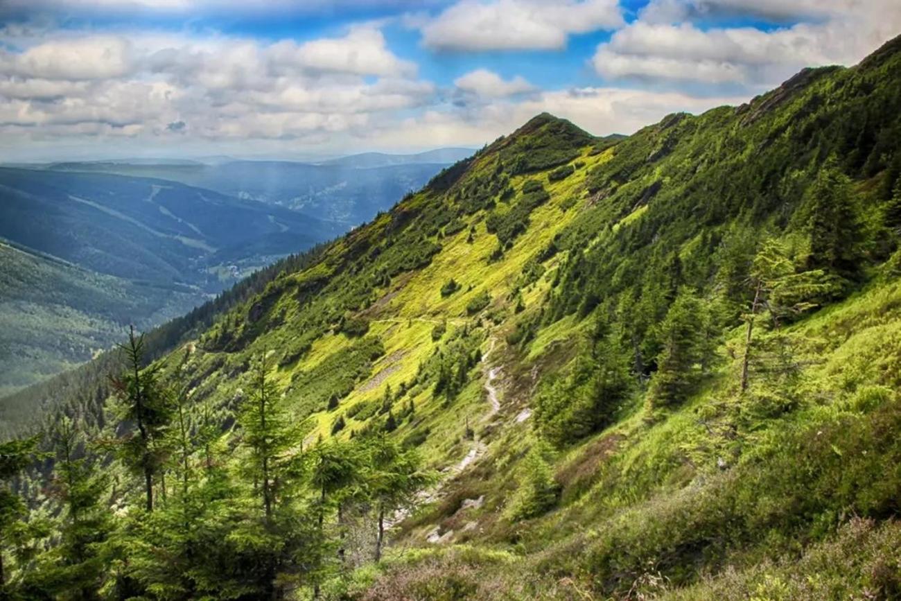 Luxusní studio v resortu v srdci Krkonoš s možností wellness