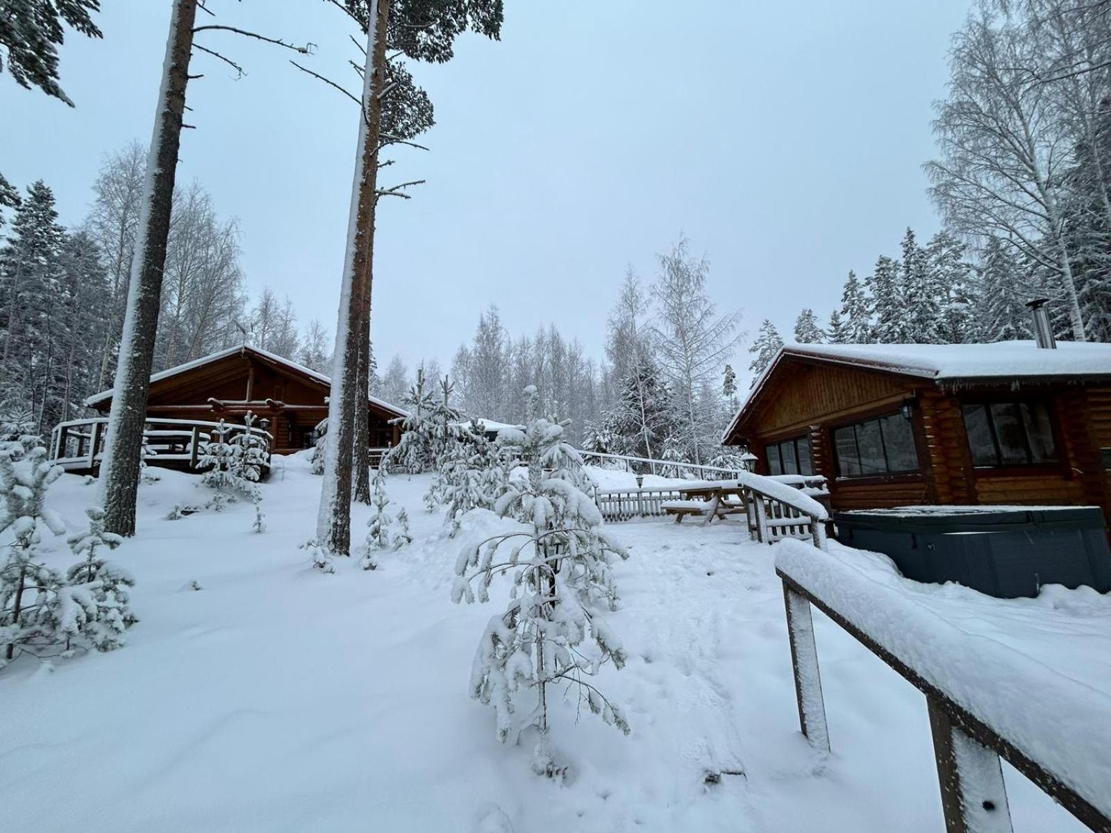 Villa Joutsen with jacuzzi view 5
