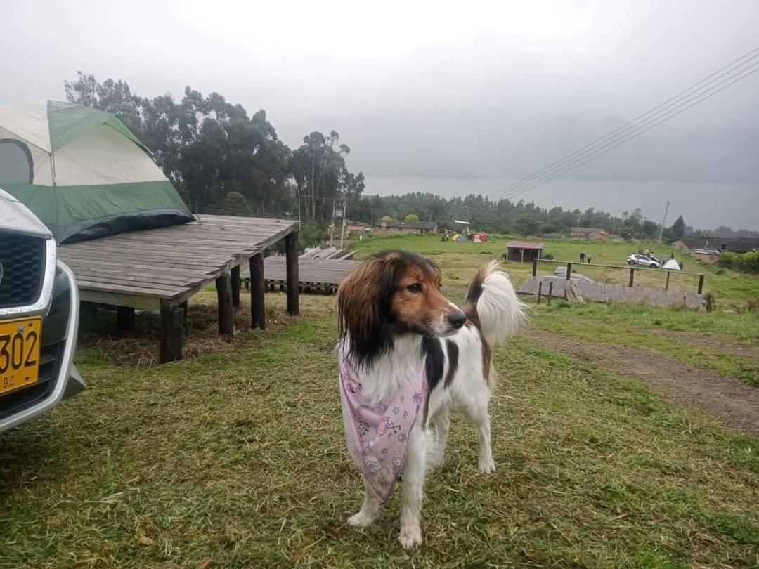 Zona De Camping Pachamamá de la Montaña Represa del Neusa