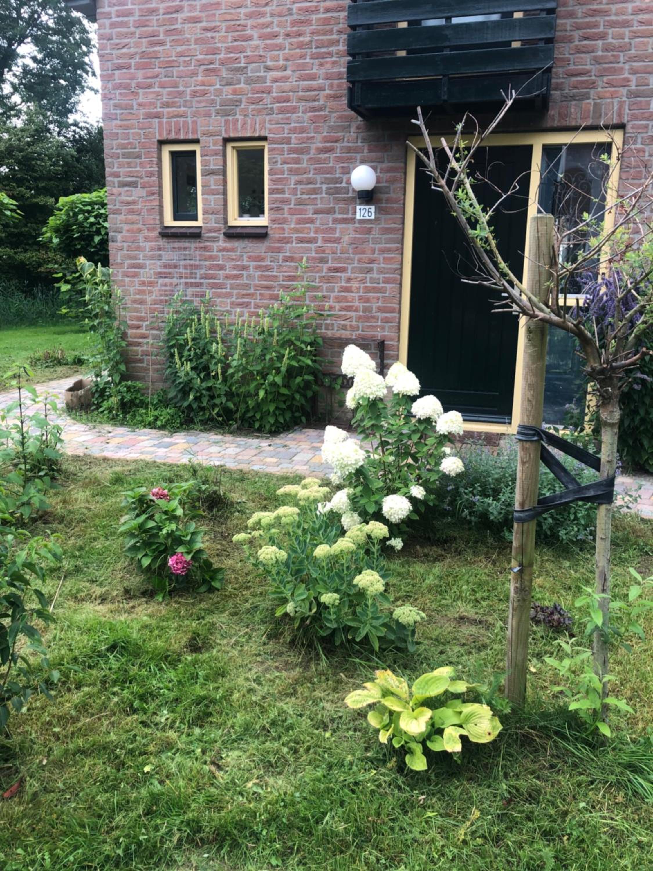 Wielewaal