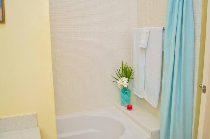 The palm of luxury view 3