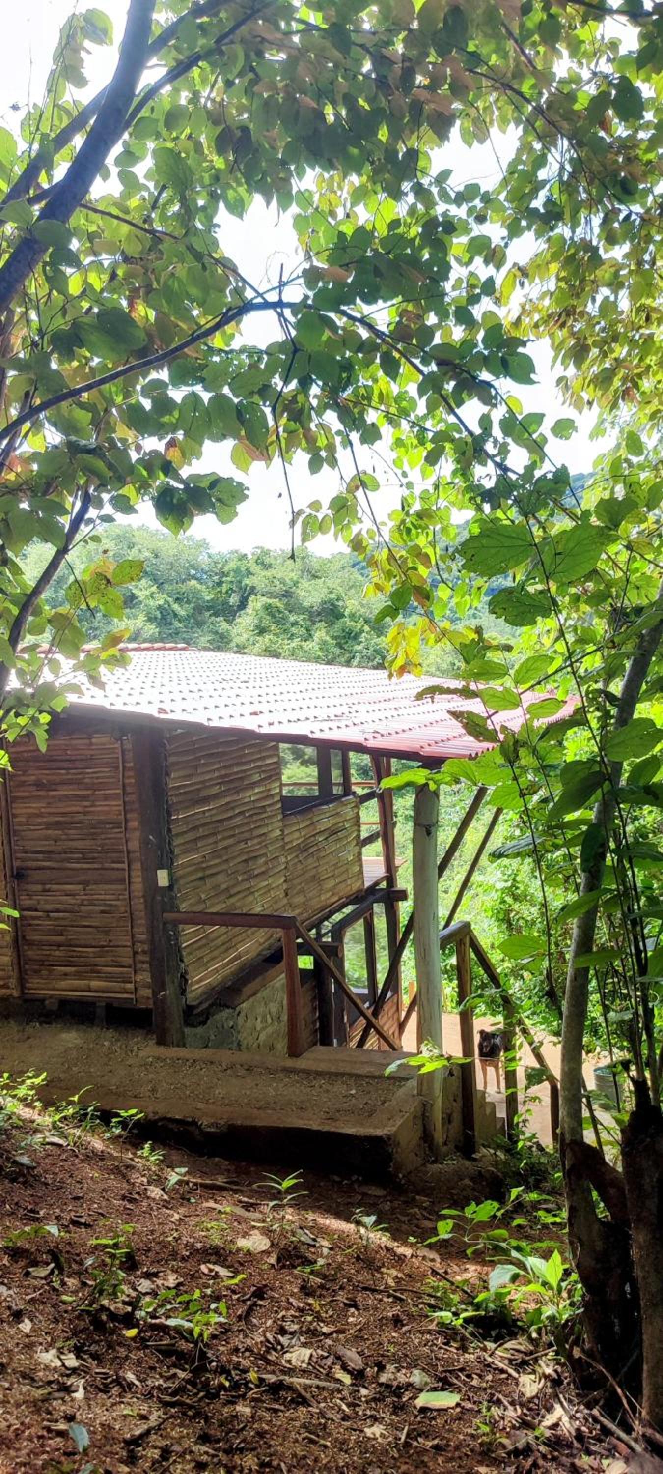 Yoo'Nashi - Reserva Ecológica y Experiencias Comunitarias view 2