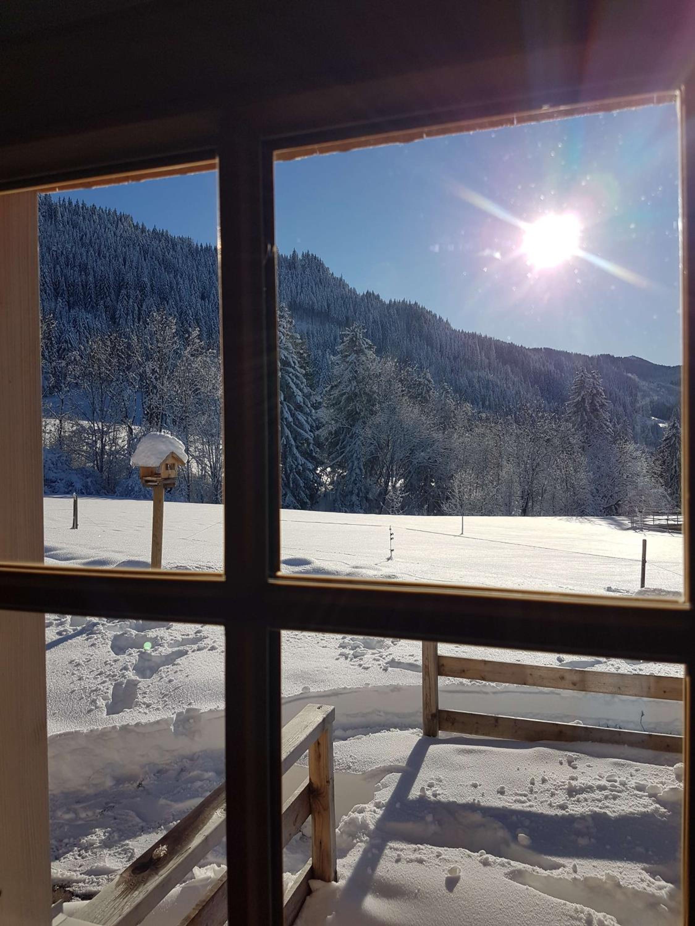 4-Sterne Tiny House & erholsame Ruhe und ganz viel Natur im Oberallgäu