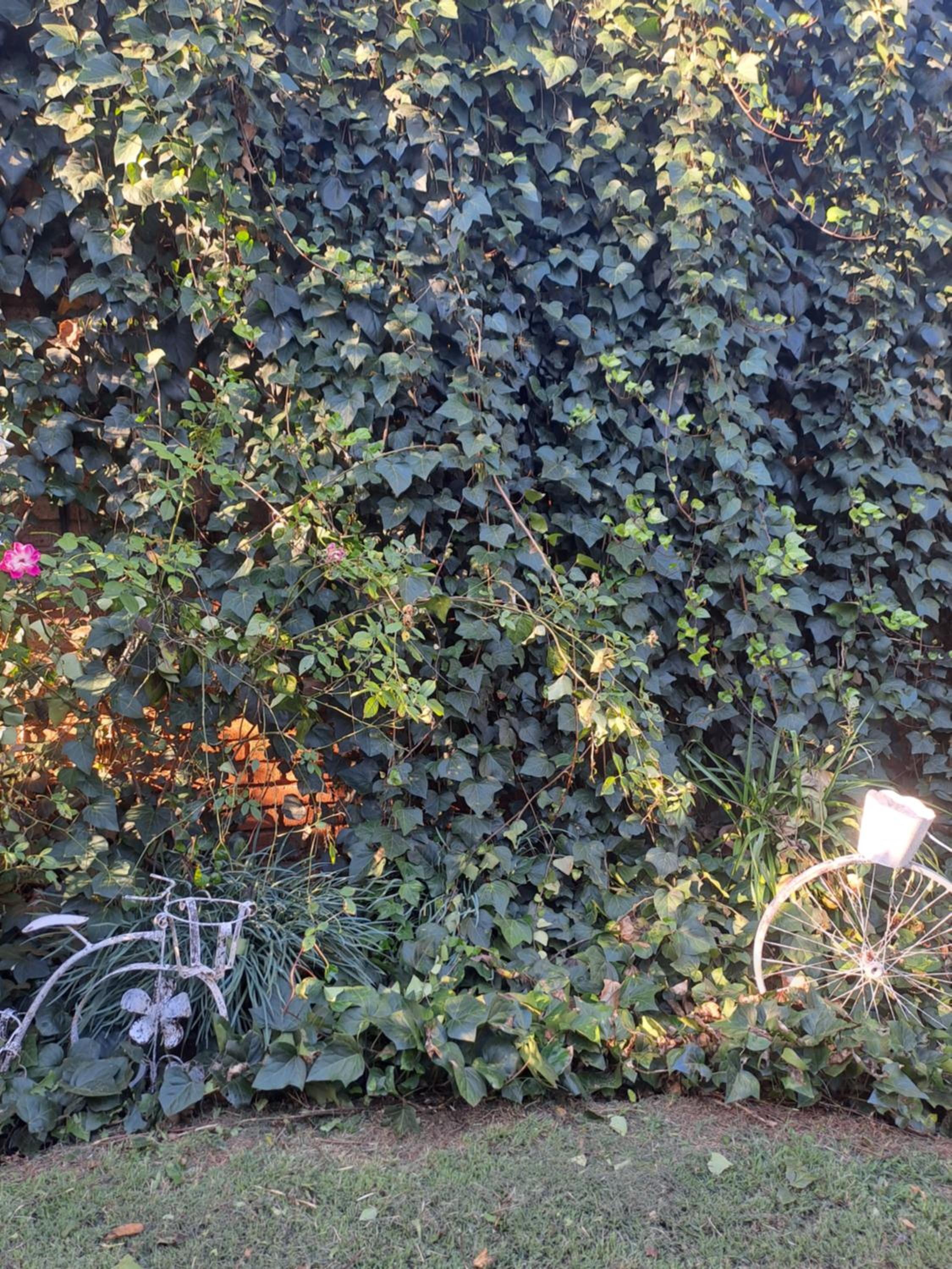 Photo 22