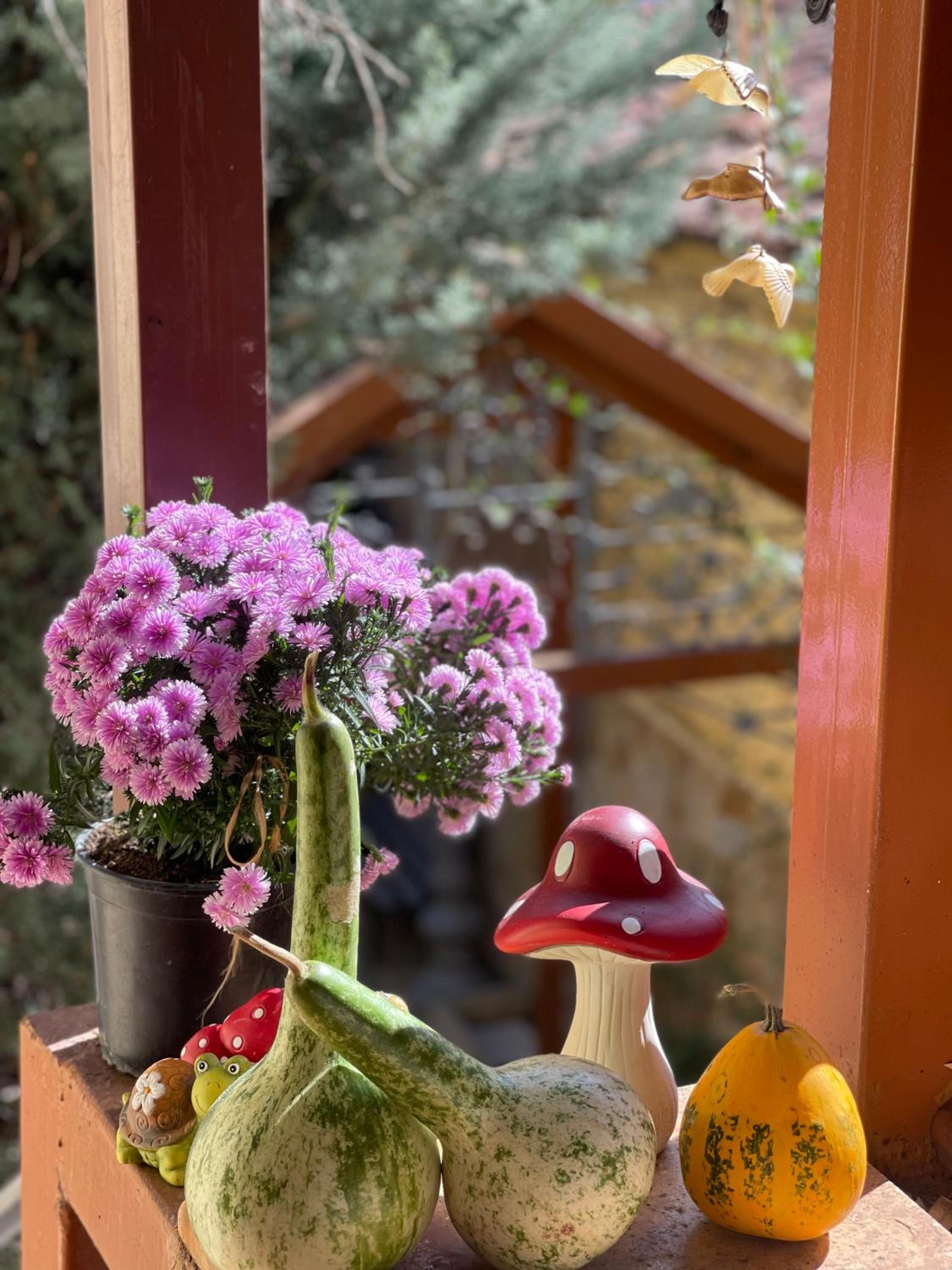 Shkodra Guest House & Trips