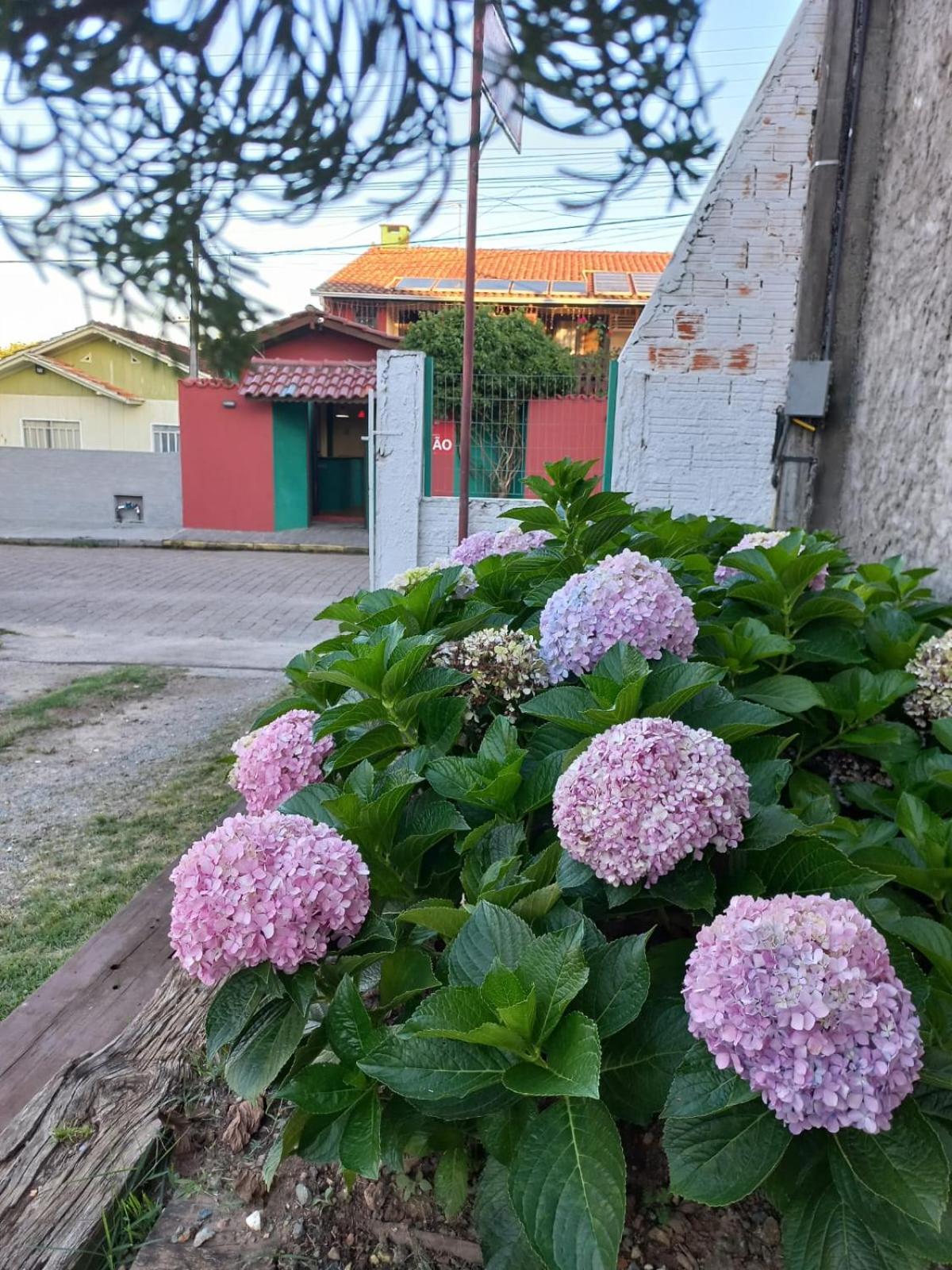 Pousada Vila D' Itália