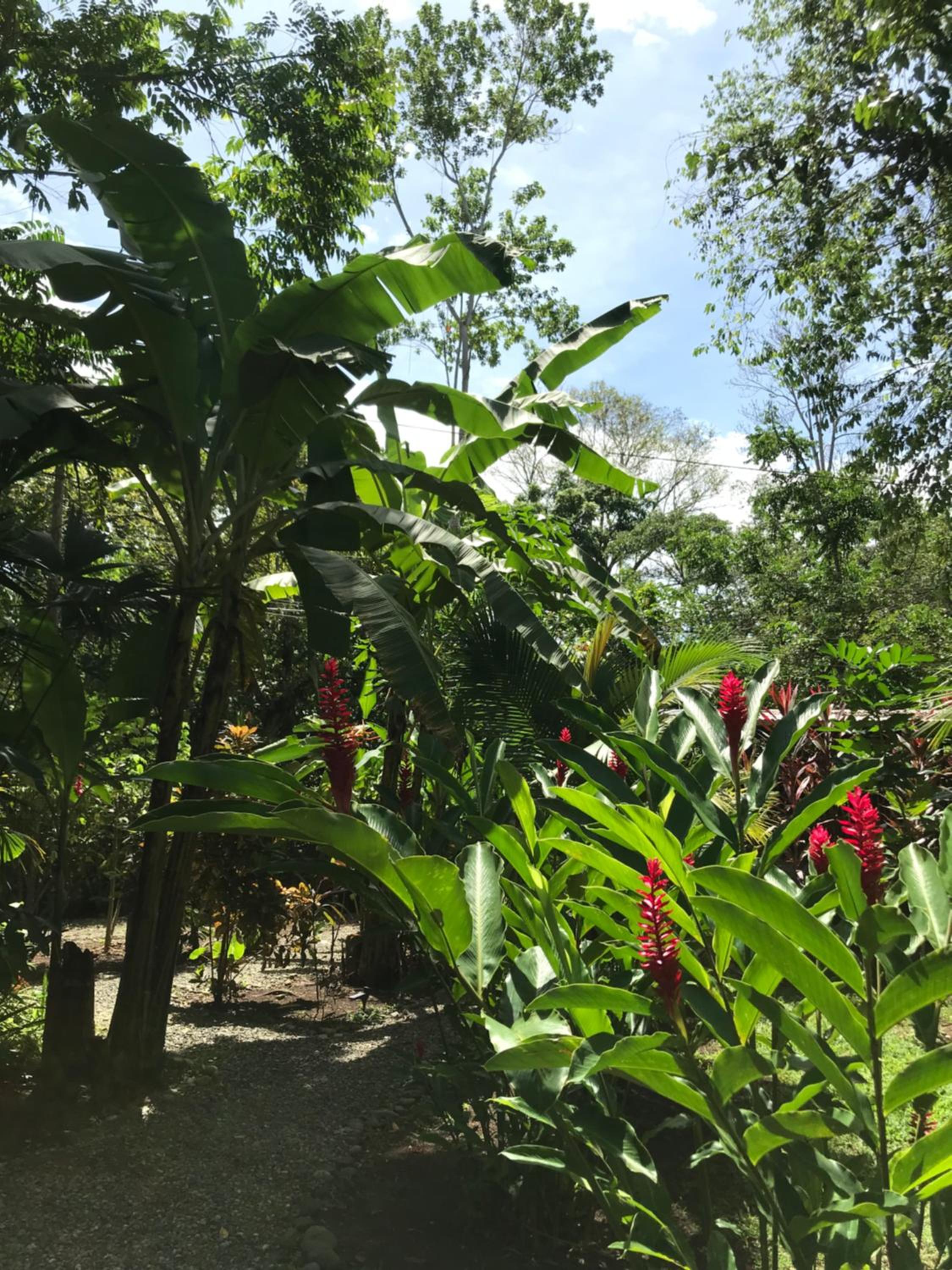 Little Yemanja Bungalow