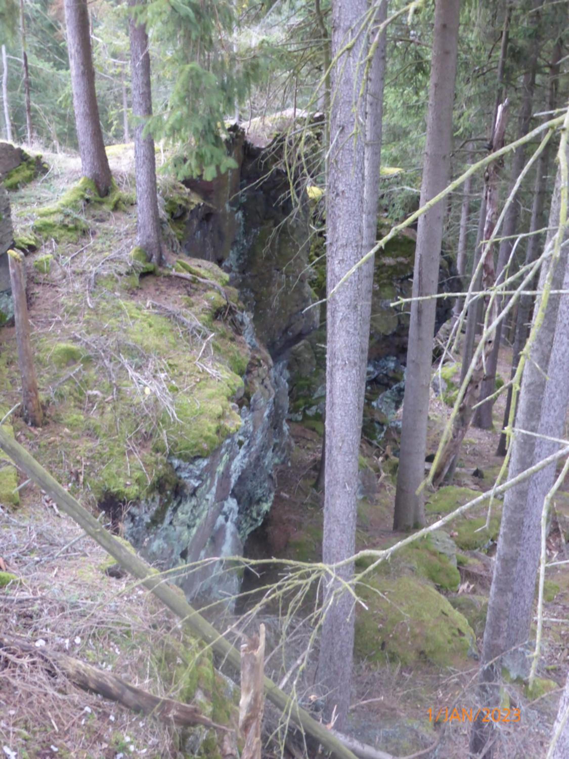 Natur pur im Erzgebirge