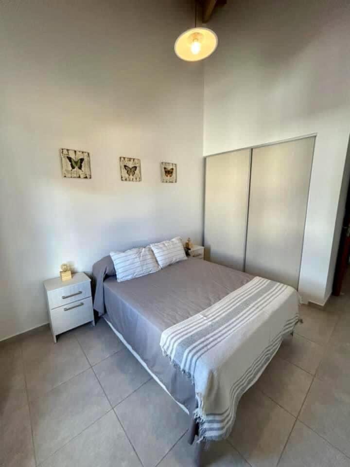 Ciruelo Tempo