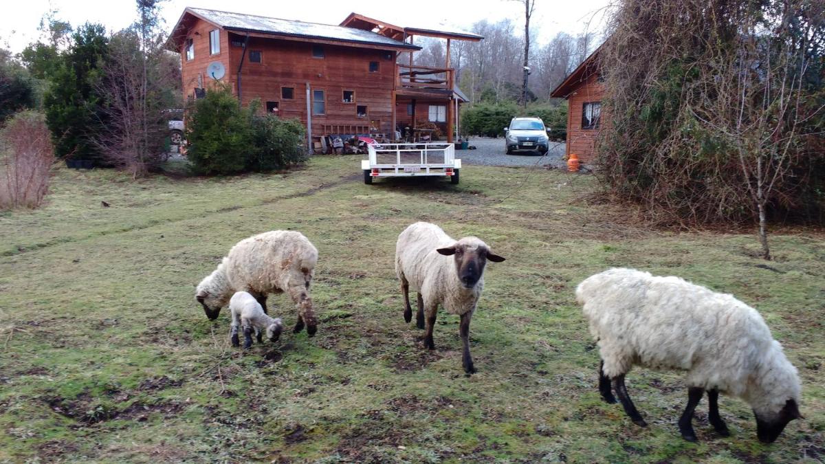 Cabañas Bosques del Claro