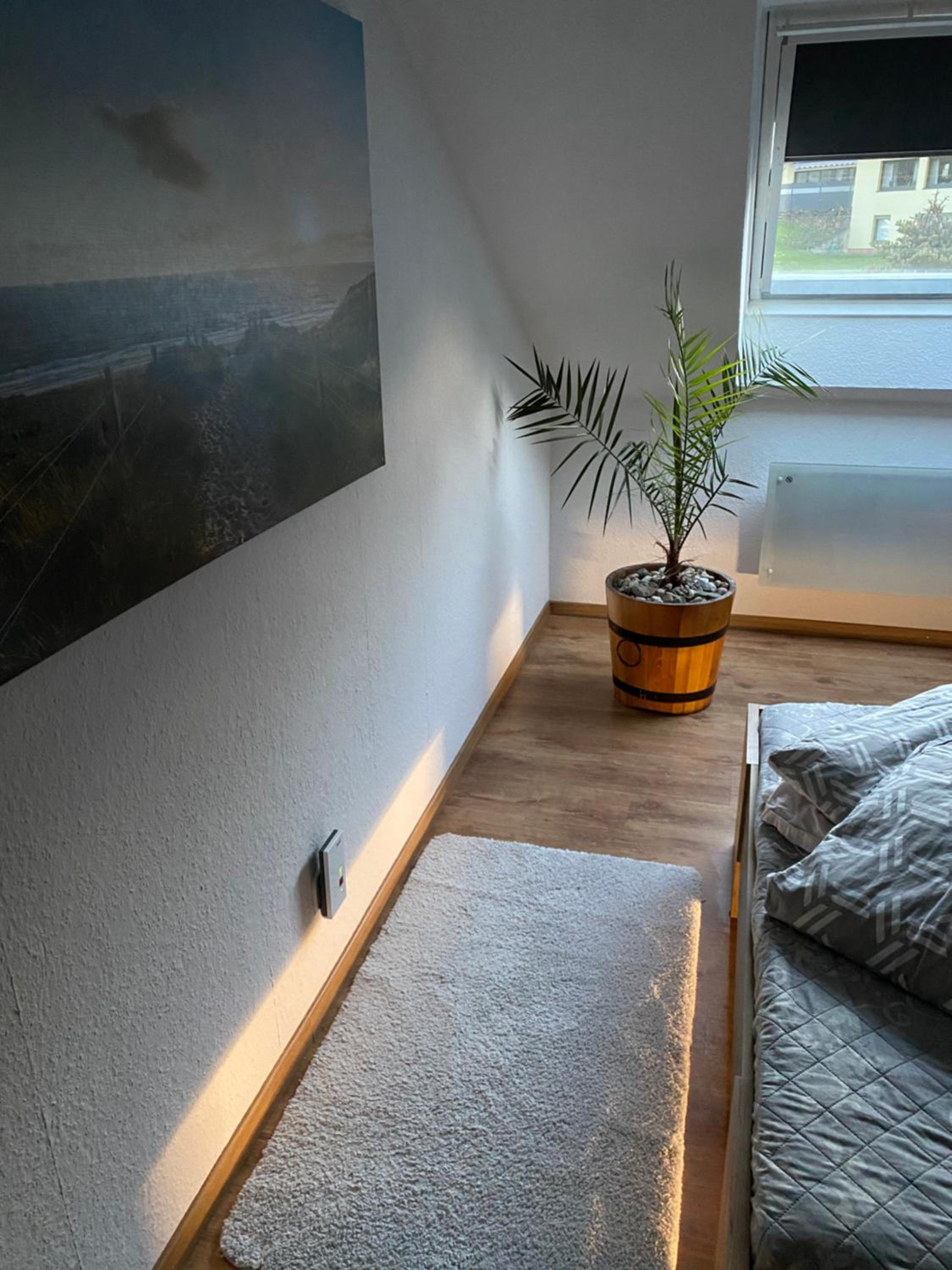 FeWo Skywalk Willingen