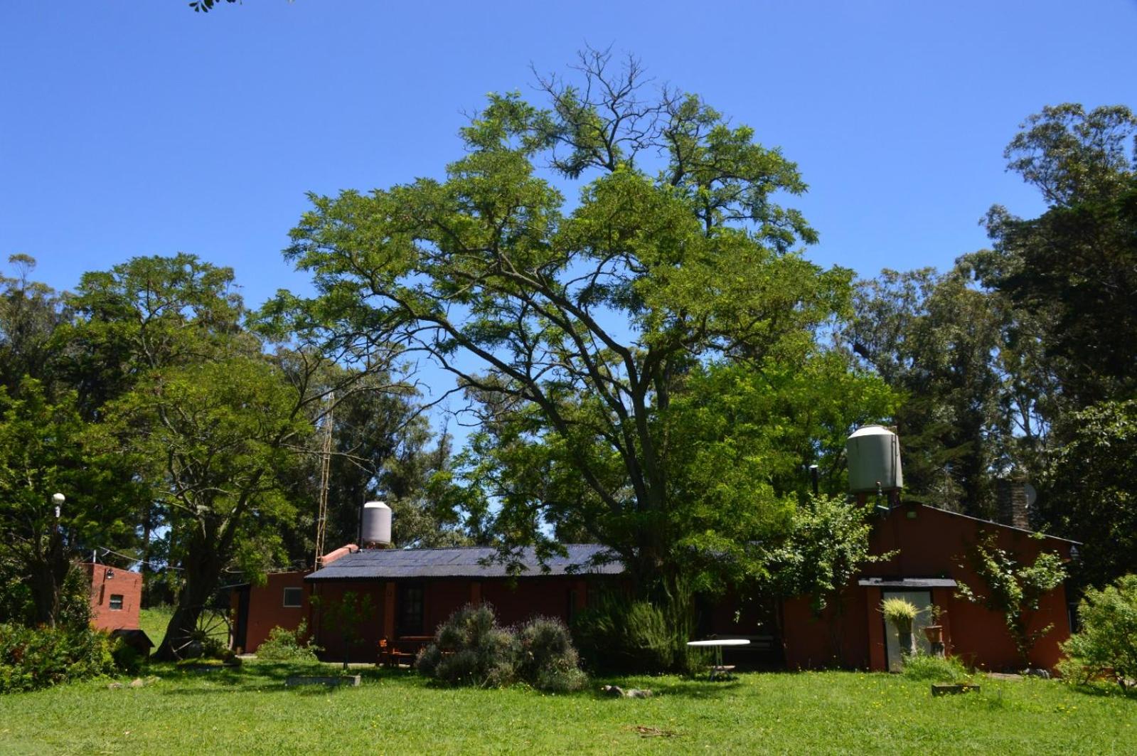 La Tandilera