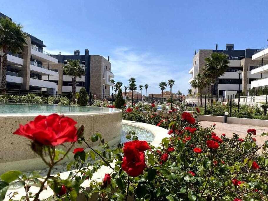 Magnifico penthouse en Flamenca Village!