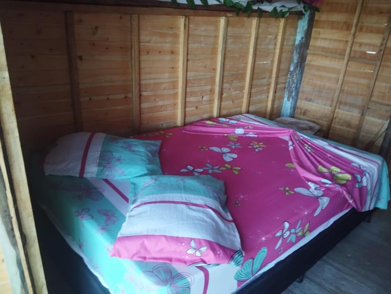 Finca Alto Bonito