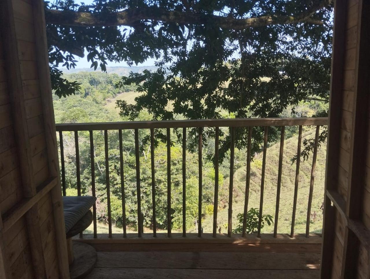 Finca Alto Bonito