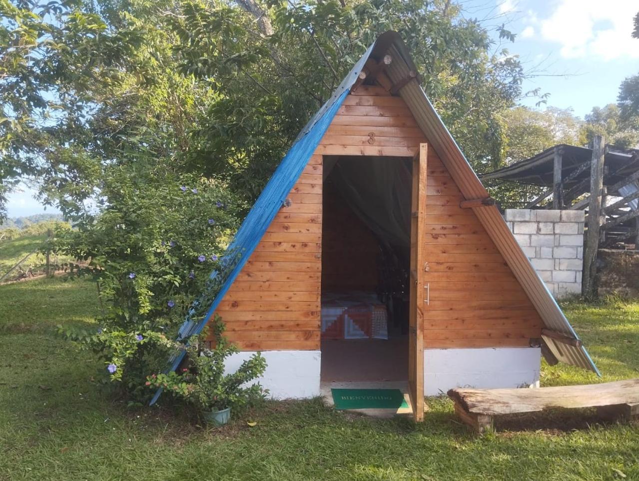 Finca Alto Bonito
