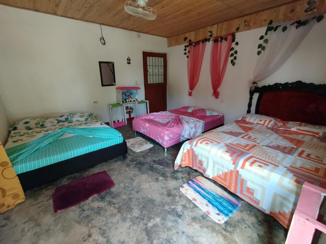 Finca Alto Bonito