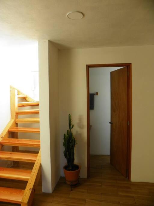 Casa Fresnos view 5