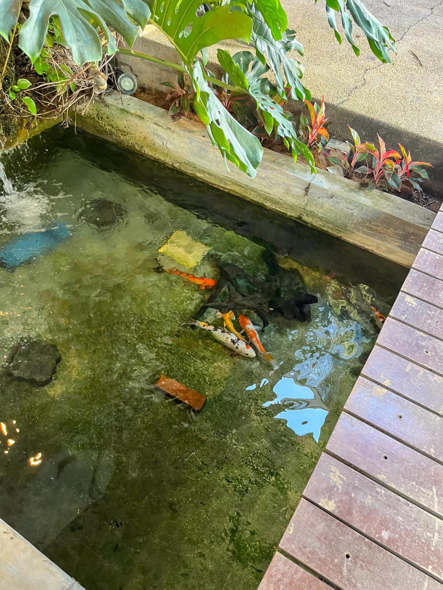 Bangsar Private Pool Villa Kuala Lumpur