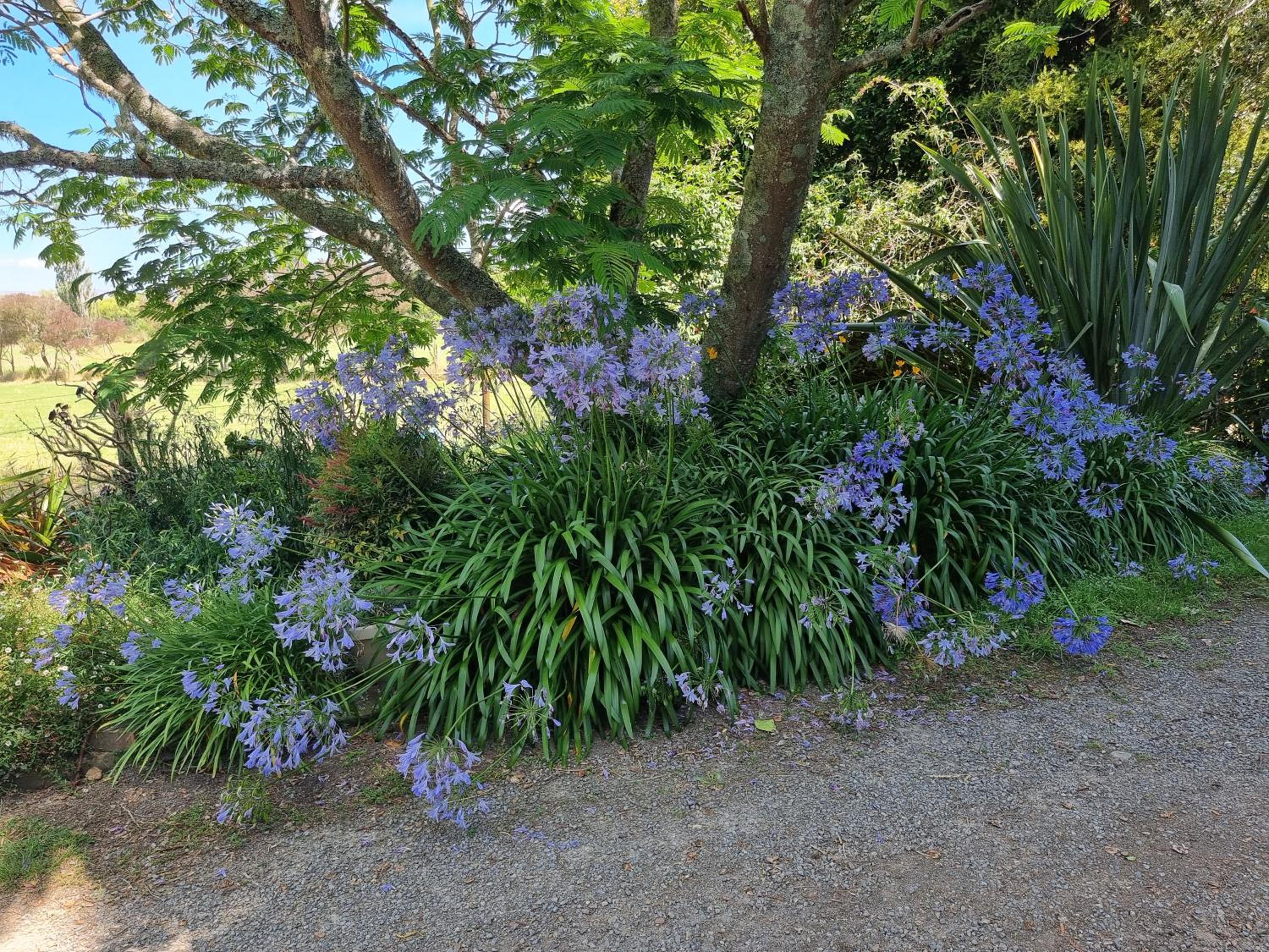 Garden Paradise Siochain House