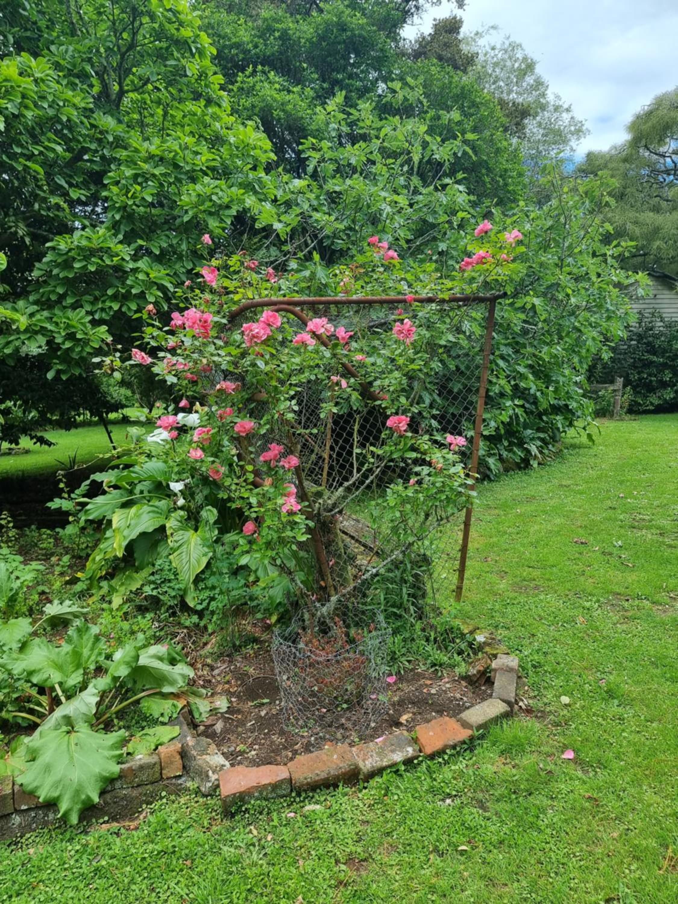 Garden Paradise Siochain House