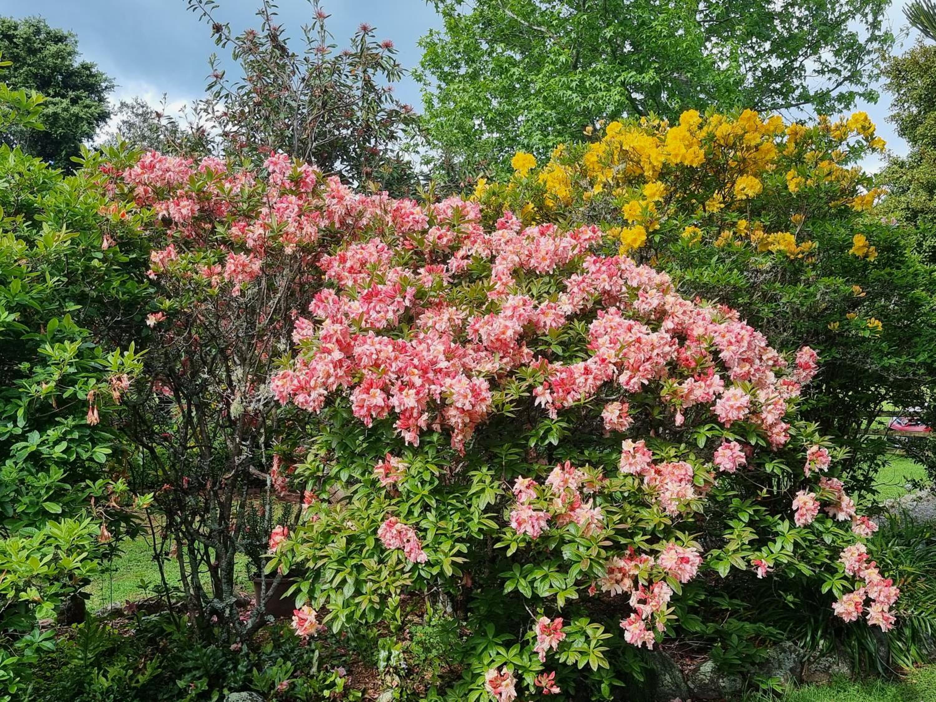 Garden Paradise Siochain House