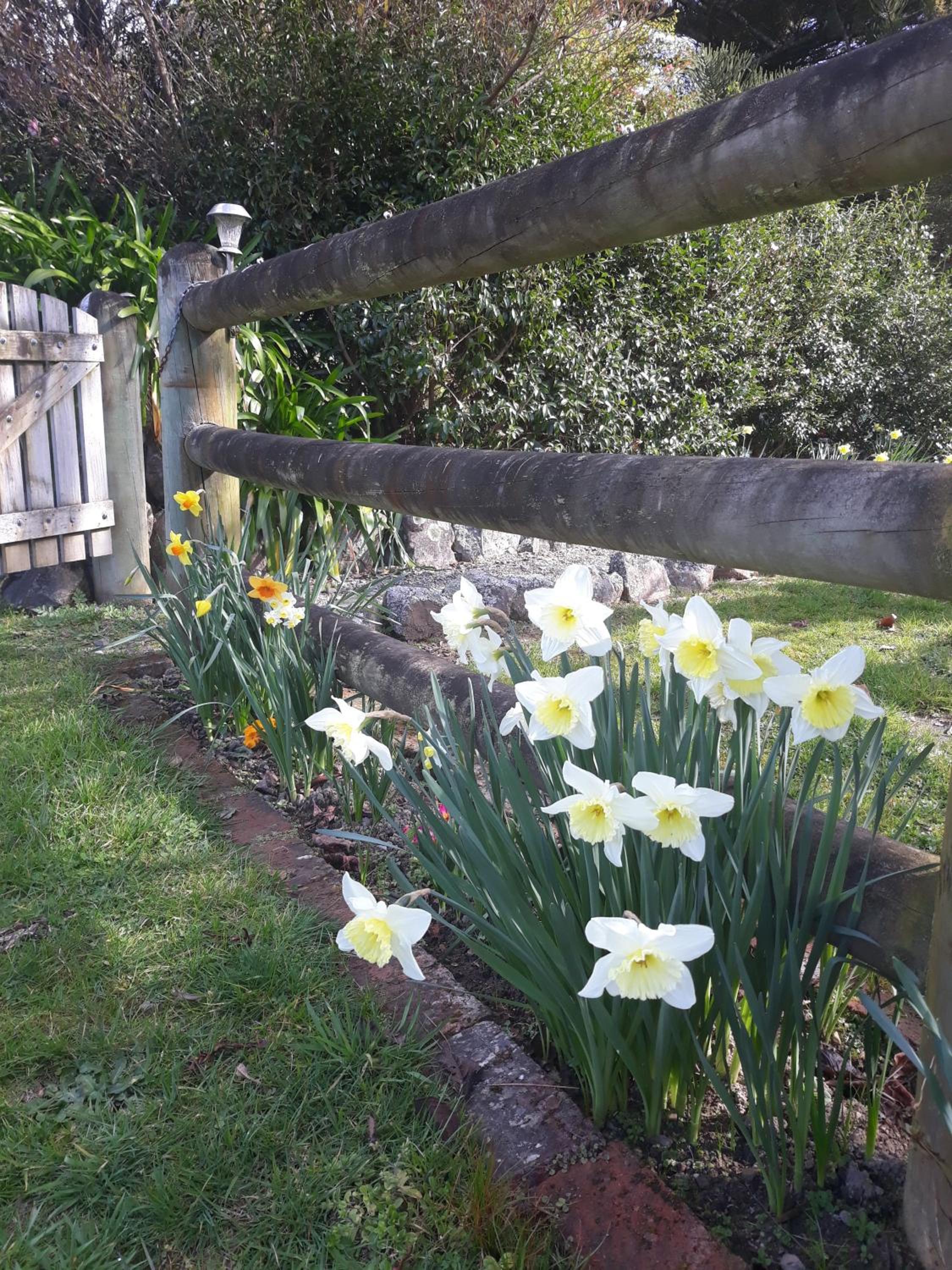 Garden Paradise Siochain House