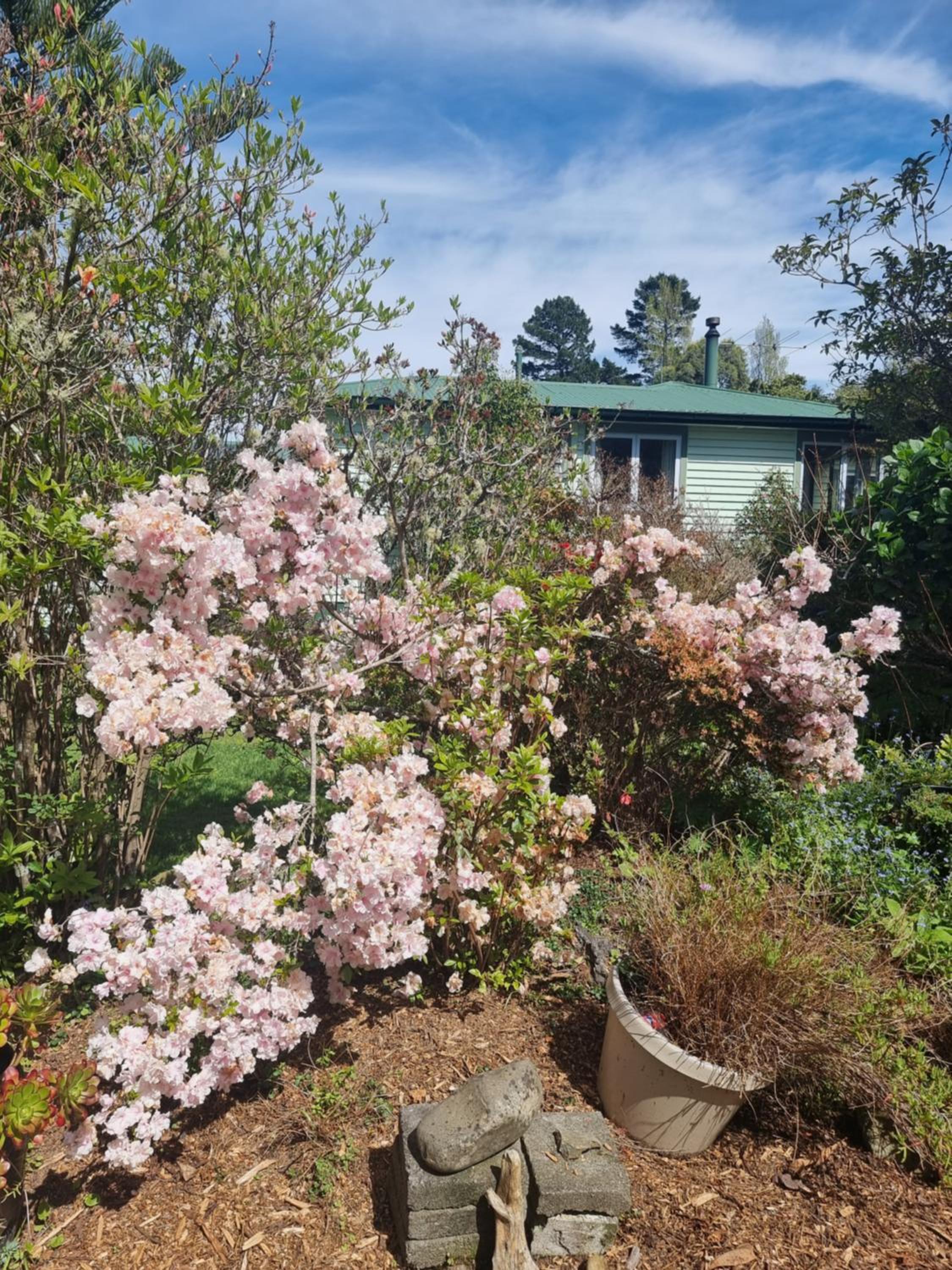 Garden Paradise Siochain House