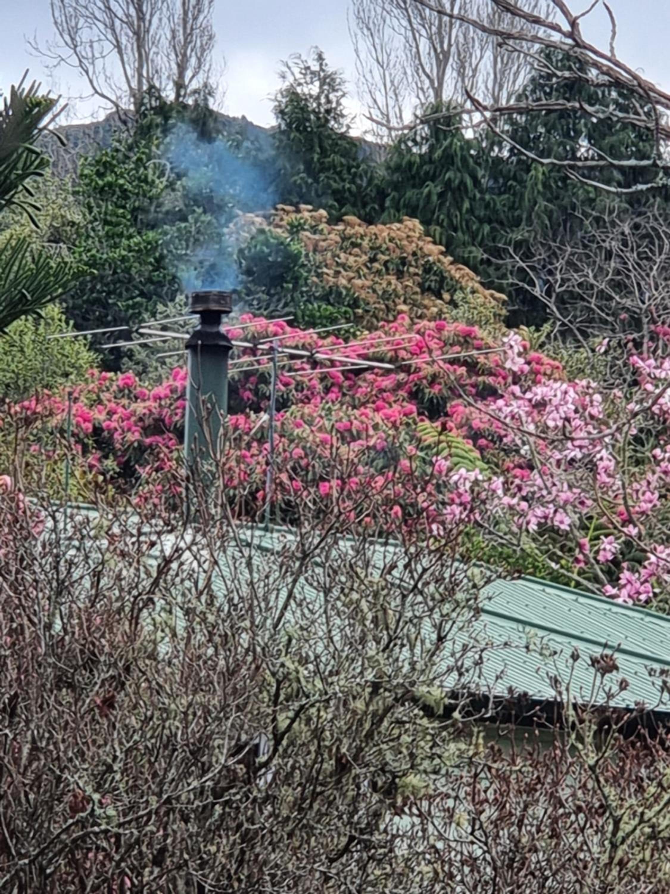 Garden Paradise Siochain House