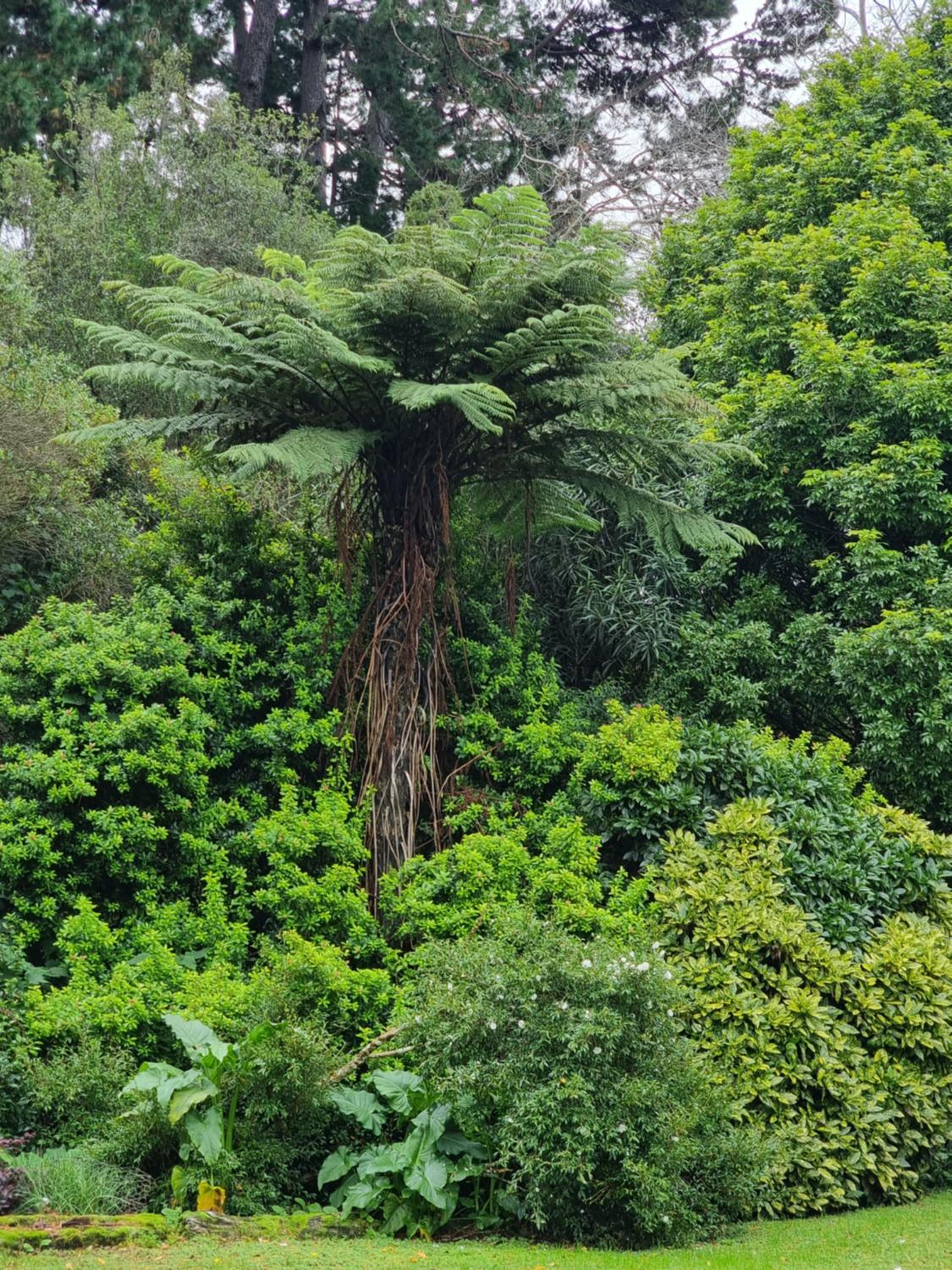 Garden Paradise Siochain House